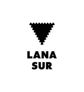 ls_logo