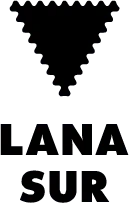ls_logo
